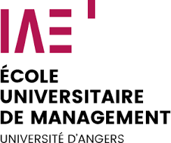 iae angers apprentissage seo