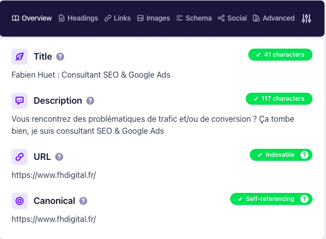 capture d'écran de l'extension seo detailed seo extension